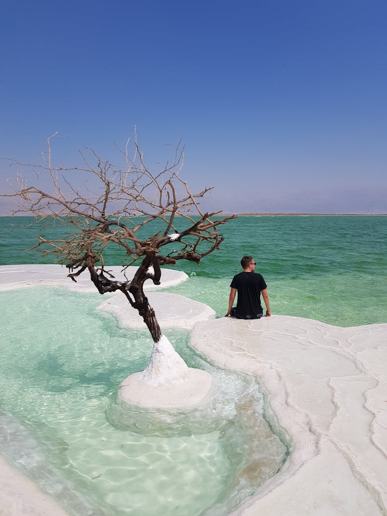 A tranquil scene at the Dead Sea with a tree and person in Израиль's salt formation.